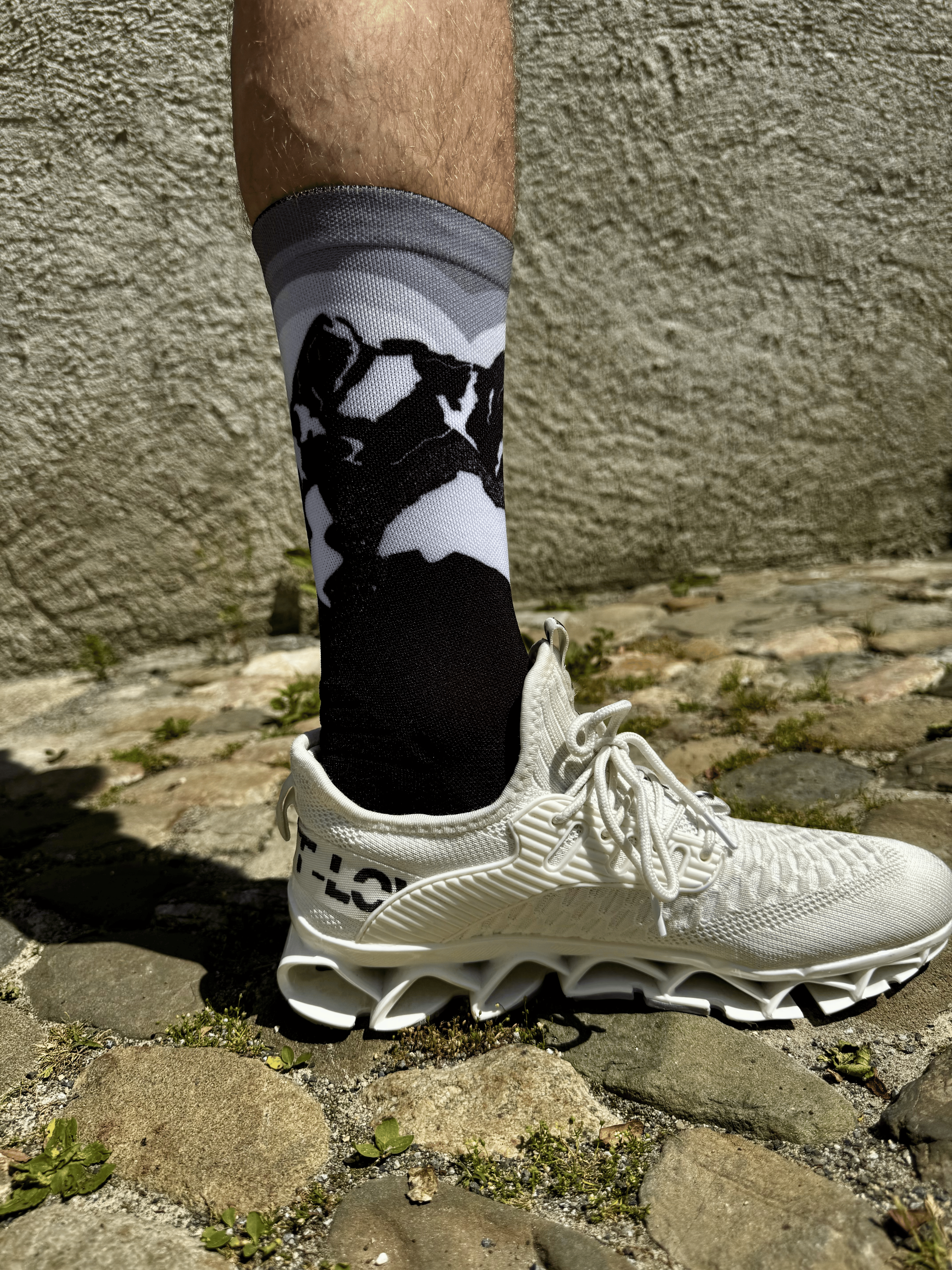 Pilatus Eclipse - The Dawn